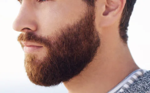 Close-up of a full beard